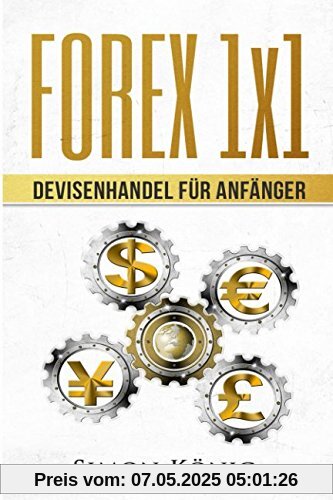 FOREX 1x1: Devisenhandel für Anfänger