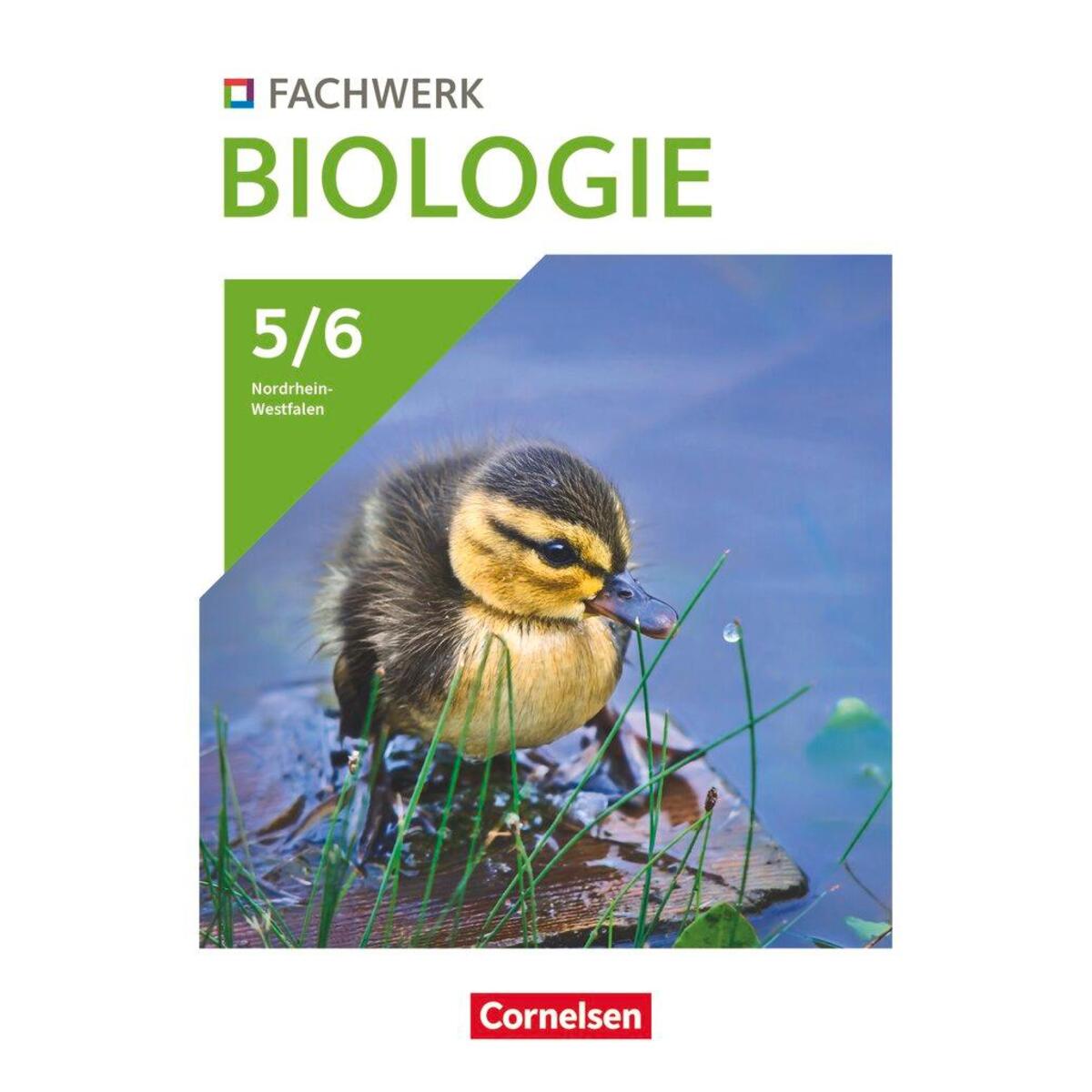 Fachwerk Biologie 5./6. Schuljahr. Nordrhein-Westfalen - Schülerbuch von Cornelsen Verlag GmbH