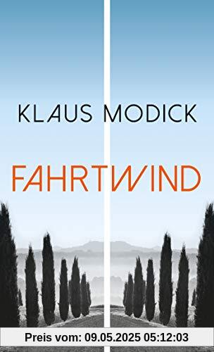 Fahrtwind: Roman