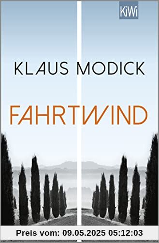 Fahrtwind: Roman