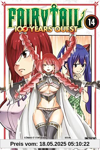 Fairy Tail - 100 Years Quest T14 Fairy Tail - 100 Years Quest T14