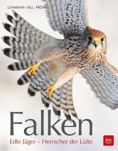 Falken von BLV Buchverlag