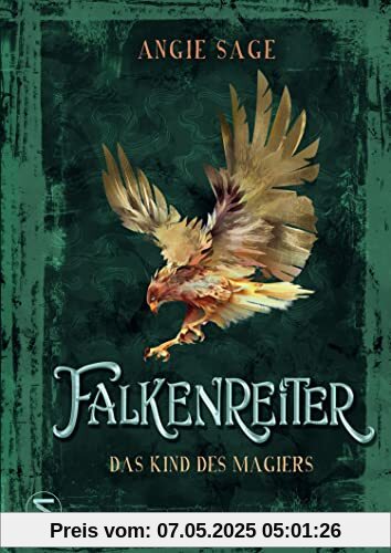 Falkenreiter - Das Kind des Magiers Falkenreiter - Das Kind des Magiers