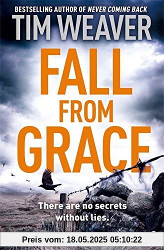 Fall From Grace: David Raker Novel #5 (David Raker 5, Band 5)