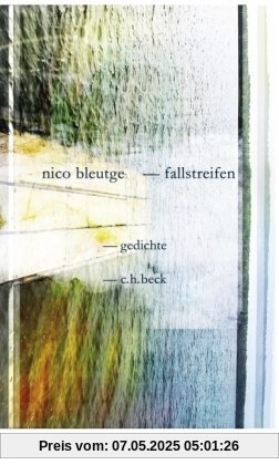Fallstreifen: Gedichte