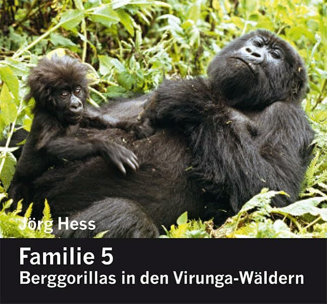 Familie 5, Berggorillas in den Virunga-Wäldern Familie 5, Berggorillas in den Virunga-Wäldern