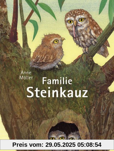 Familie Steinkauz