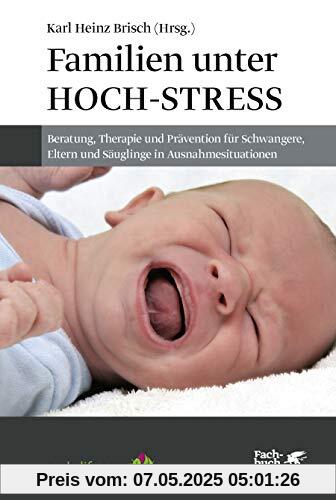 Familien unter Hoch-Stress: Beratung, Therapie und Prävention für Schwangere, Eltern und Säuglinge in Ausnahmesituationen