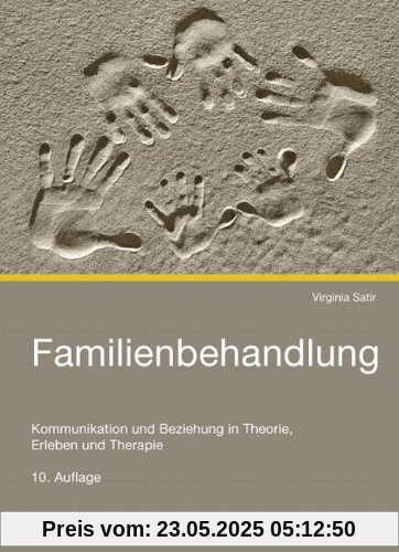 Familienbehandlung: Kommunikation und Beziehung in Theorie, Erleben und Therapie