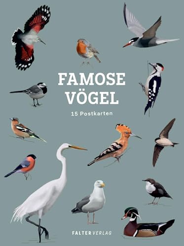 Famose Vögel - Postkartenbuch: 15 Postkarten Famose Vögel - Postkartenbuch: 15 Postkarten von Falter Verlag
