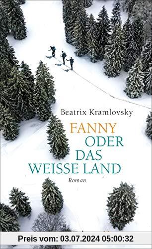 Fanny oder Das weiße Land: Roman