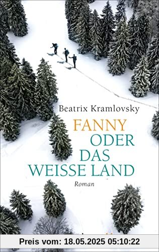 Fanny oder Das weiße Land: Roman