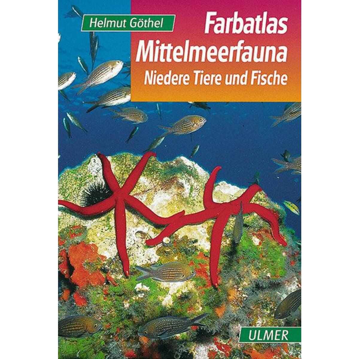 Farbatlas Mittelmeerfauna Farbatlas Mittelmeerfauna von Ulmer Eugen Verlag