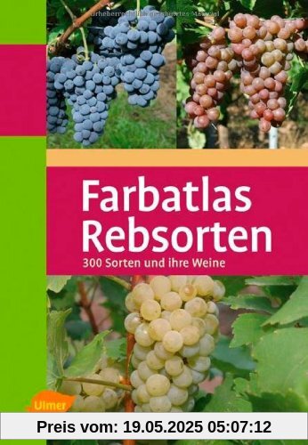 Farbatlas Rebsorten: 300 Sorten und ihre Weine