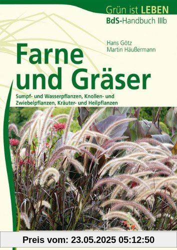 Farne und Gräser: Bds-Handbuch IIIb: BdB-Handbuch IIIb Farne und Gräser: Bds-Handbuch IIIb: BdB-Handbuch IIIb