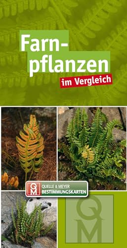 Farnpflanzen: im Vergleich (Quelle & Meyer Bestimmungskarten)
