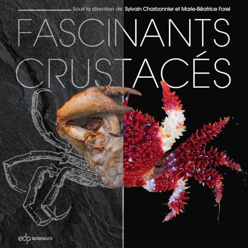 Fascinants crustacés: 0 Fascinants crustacés: 0 von EDP SCIENCES