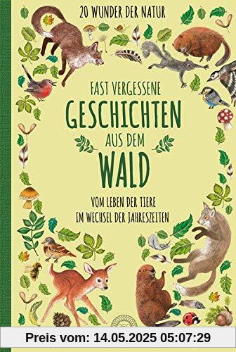 Fast vergessene Geschichten aus dem Wald: Vom Leben der Tiere im Wechsel der Jahreszeiten - 20 Wunder der Natur