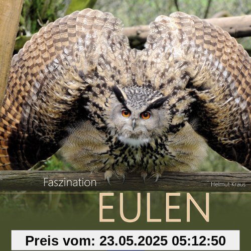 Faszination Eulen
