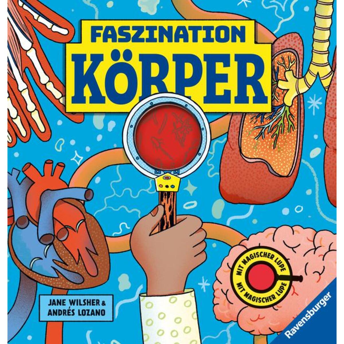 Faszination Körper von Ravensburger Verlag