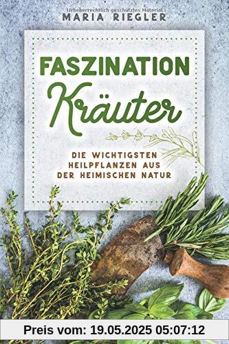 Faszination Kräuter - Die wichtigsten Heilpflanzen aus der heimischen Natur