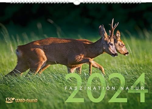 Faszination Natur Kalender 2024 von Parey, P