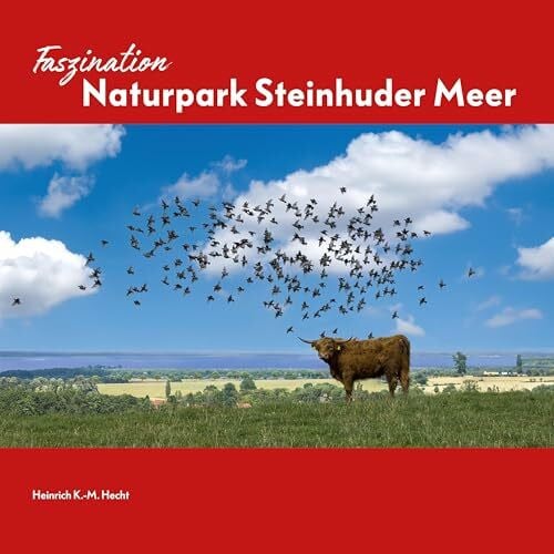 Faszination Naturpark Steinhuder Meer