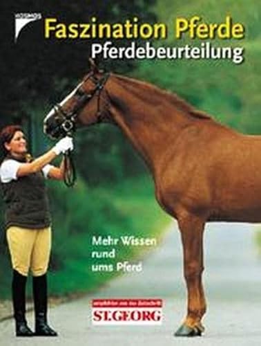 Faszination Pferde - Pferdebeurteilung: Mehr Wissen rund ums Pferd