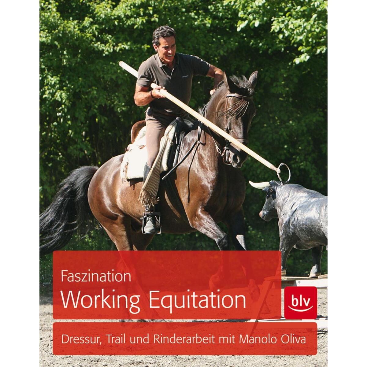 Faszination Working Equitation Faszination Working Equitation von Blv