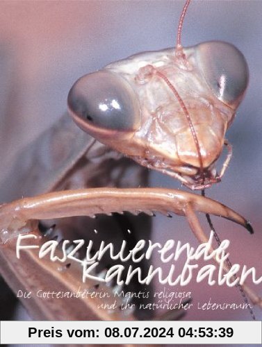 Faszinierende Kannibalen: Die Gottesanbeterin Mantis religiosa und ihr natürlicher Lebensraum