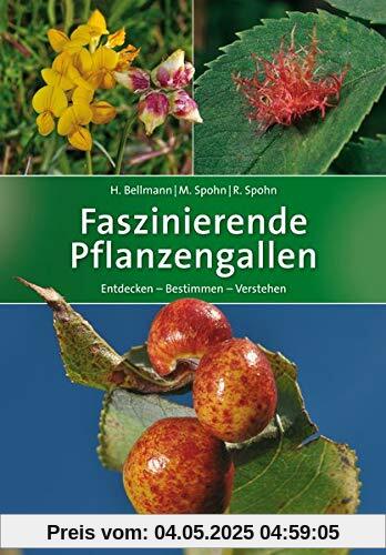 Faszinierende Pflanzengallen: Entdecken – Bestimmen – Verstehen