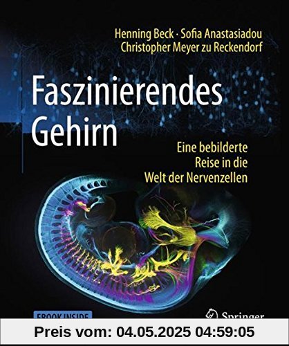 Faszinierendes Gehirn: Eine bebilderte Reise in die Welt der Nervenzellen Faszinierendes Gehirn: Eine bebilderte Reise in die Welt der Nervenzellen
