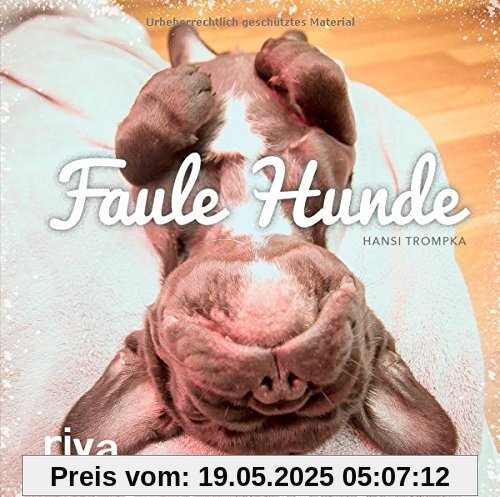 Faule Hunde Faule Hunde