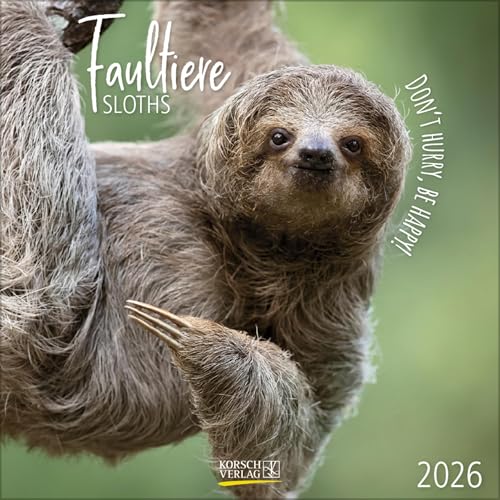Faultier 2025: Broschürenkalender mit Ferienterminen und lustigen Faultieren. Format: 30 x 30 cm von Korsch Verlag