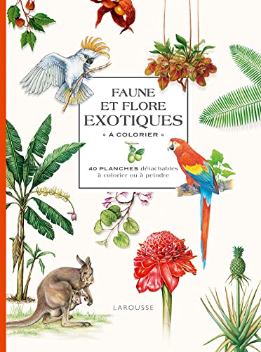 Faune et flore exotiques à colorier: 40 planches détachables à colorier ou à peindre