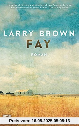 Fay: Roman
