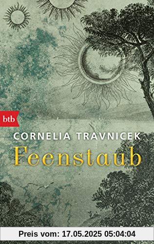 Feenstaub: Roman