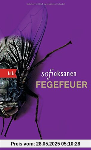 Fegefeuer: Roman