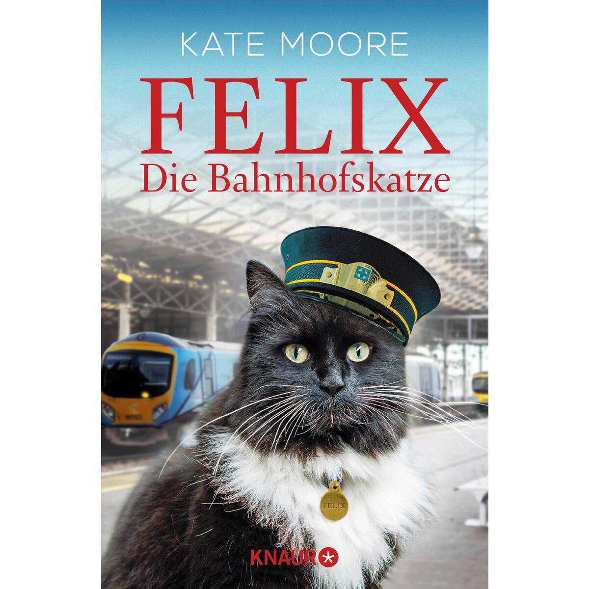 Felix von Knaur TB