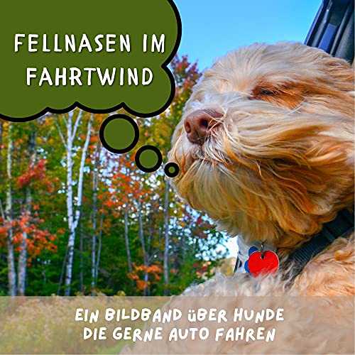 Fellnasen im Fahrtwind: Ein Bildband über Hunde, die gerne Auto fahren Fellnasen im Fahrtwind: Ein Bildband über Hunde, die gerne Auto fahren von 27 Amigos