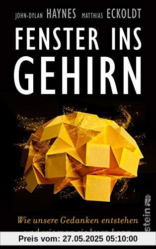Fenster ins Gehirn: Wie unsere Gedanken entstehen und wie man sie lesen kann Fenster ins Gehirn: Wie unsere Gedanken entstehen und wie man sie lesen kann