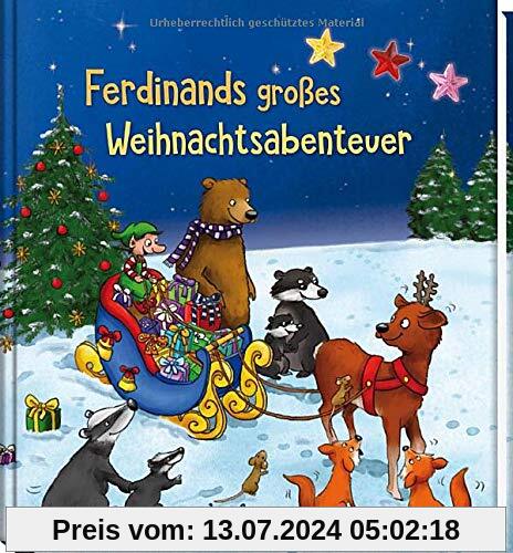 Ferdinands großes Weihnachtsabenteuer: Funkel-Bilderbuch mit Glitzersteinen