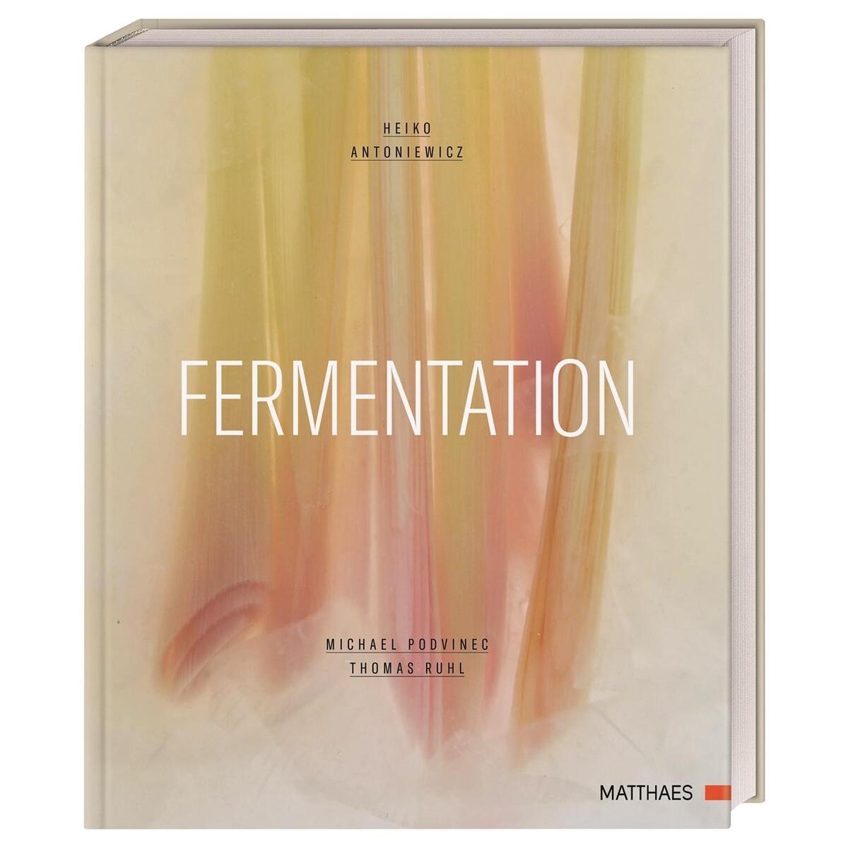 Fermentation von Matthaes