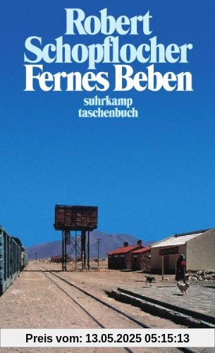 Fernes Beben: Erzählungen aus Argentinien (suhrkamp taschenbuch)