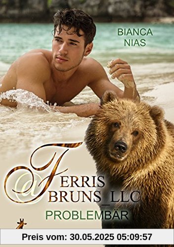 Ferris@Bruns_LLC: Problembär