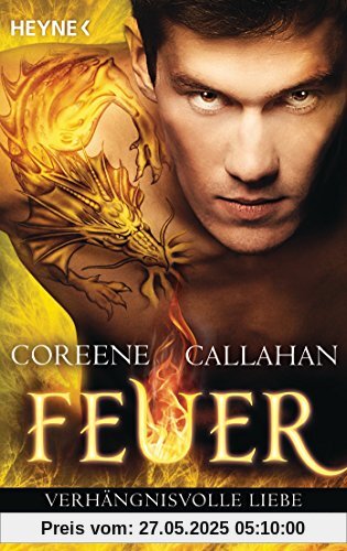 Feuer - Verhängnisvolle Liebe: Feuer 4 - Roman Feuer - Verhängnisvolle Liebe: Feuer 4 - Roman