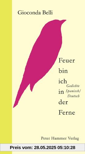 Feuer bin ich in der Ferne. Fuego soy, apartado y espada puesta lejos: Gedichte Spanisch/Deutsch