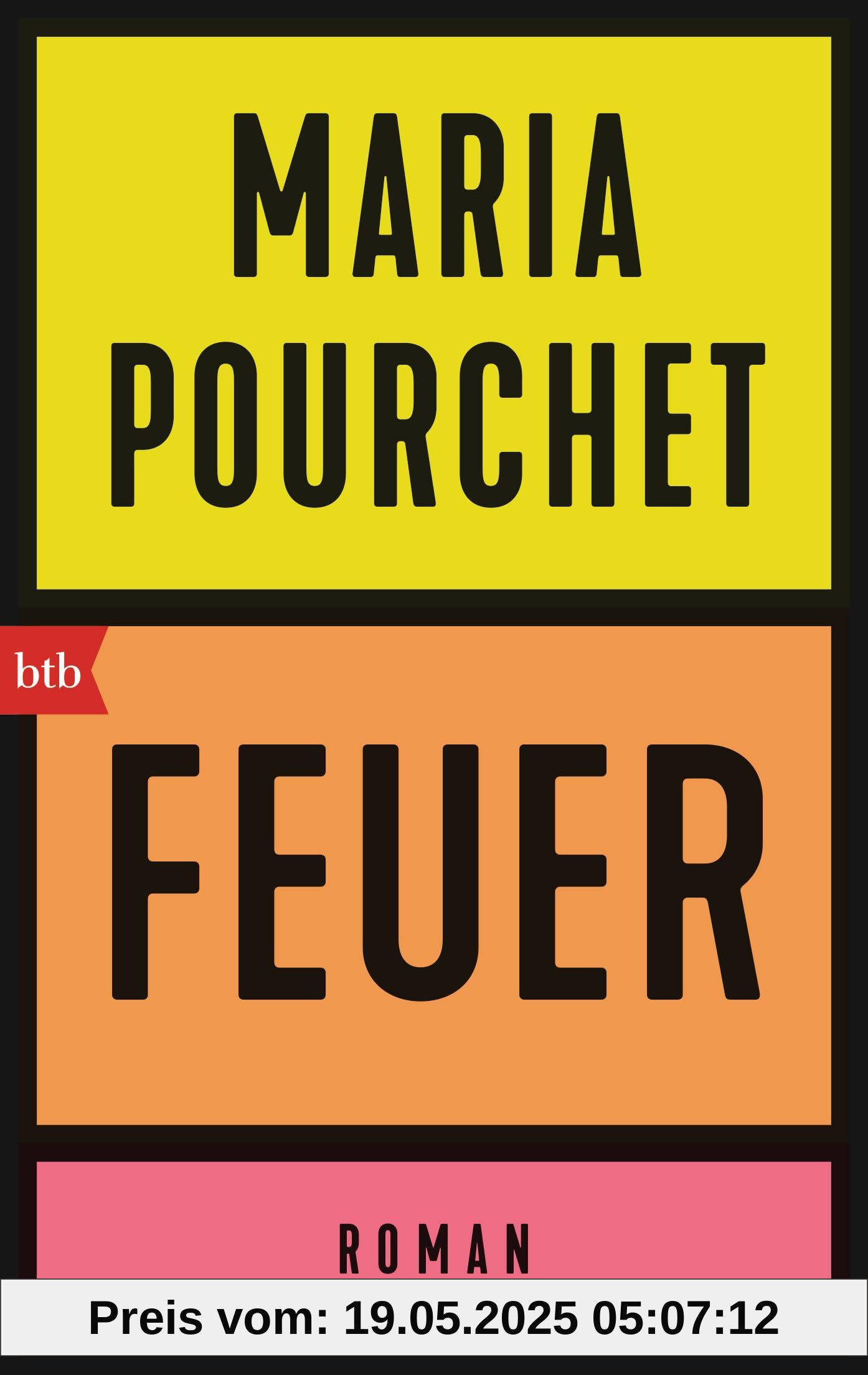 Feuer: Roman - »Ein Lesevergnügen.« Brigitte Woman
