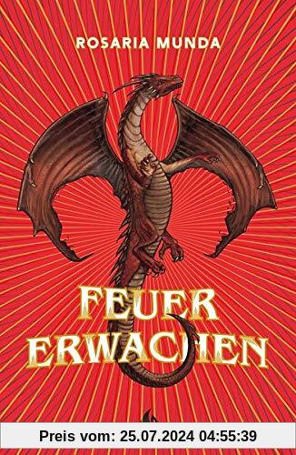 Feuererwachen (Bd. 1)
