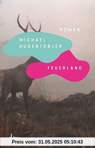Feuerland: Roman